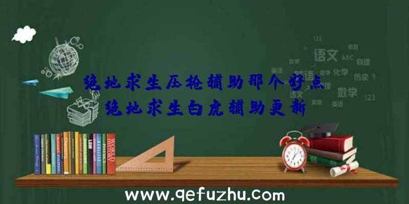 「绝地求生压枪辅助那个好点」|绝地求生白虎辅助更新